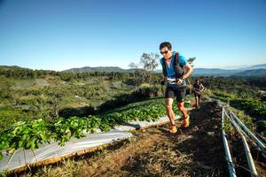 BIB: 
                            <button type="button" onclick="openModal(19110857)" class="btn btn-primary btn-sm float-right btn-popup" data-toggle="modal" data-target=".modal-high-quality">
                        <i class="fas fa-shopping-cart"></i> Add to Cart
                    </button>
                                            <button type="button" onclick="isThisMe(19110857, true)" class="btn btn-success btn-sm float-right btn-popup btn-isme hidden" data-toggle="tooltip" data-placement="bottom" title="นี่คือรูปของคุณใช่ไหม คลิกที่นี่เพื่อเอาเข้าอัลบั้ม">
                        <i class="fas fa-plus"></i> Add to album
                    </button>
                    <button type="button" onclick="isThisMe(19110857, false)" class="btn btn-warning btn-sm float-right btn-popup btn-isnotme hidden">
                        <i class="fas fa-ban"></i> Remove from album
                    </button>